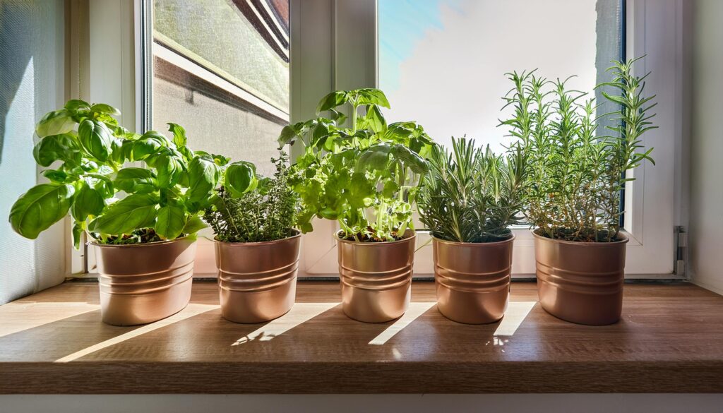 Indoor Gardening in Stadtwohnungen: Tipps für deinen grünen Rückzugsort auf meinekleinetestseite.de